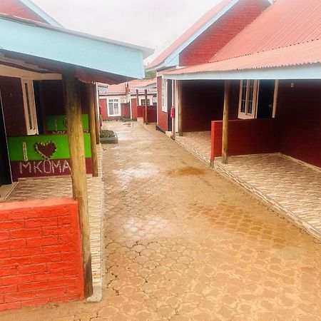 Mkomazi Hotels And Camps Hegoma Buitenkant foto