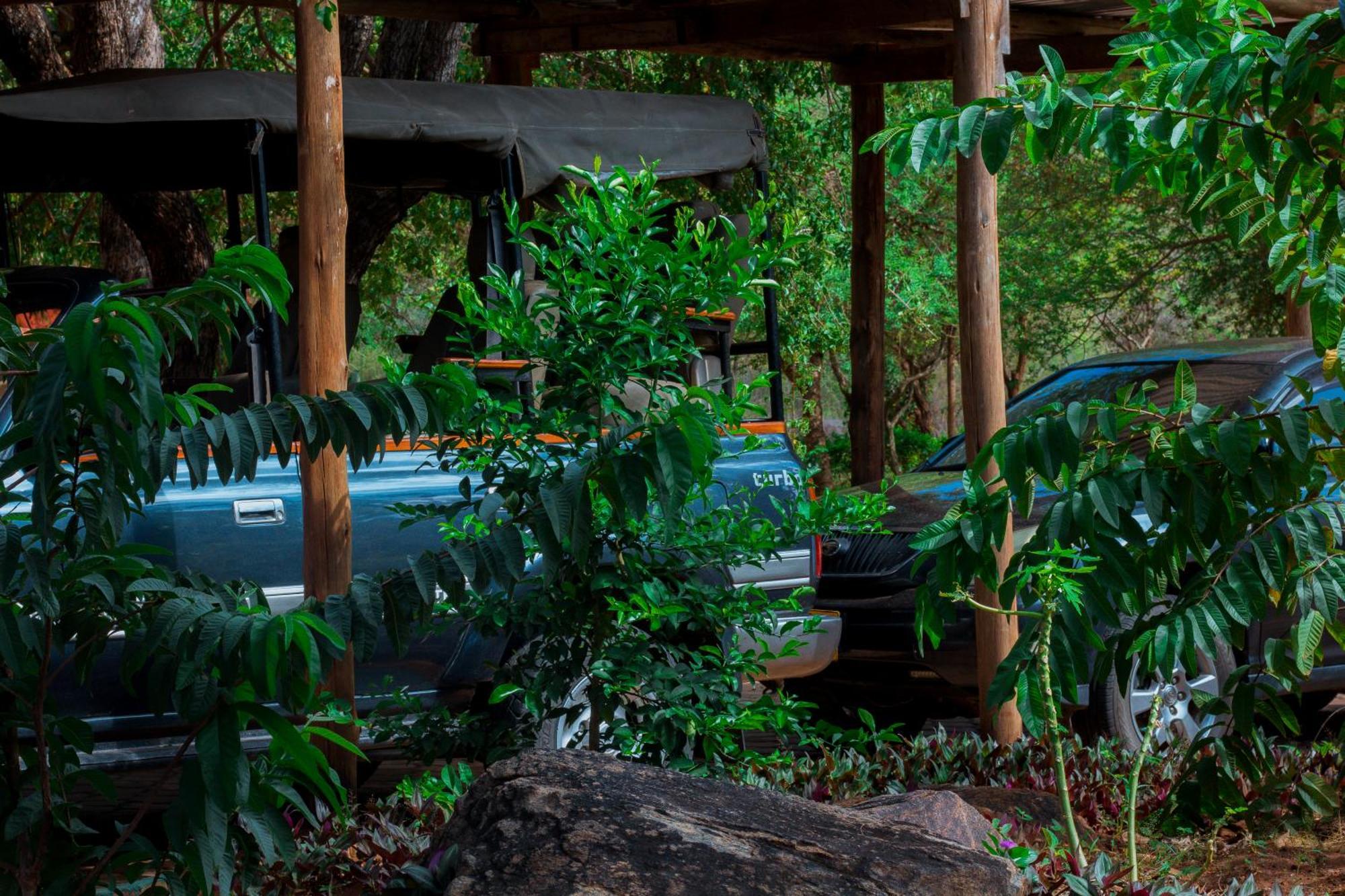 Mkomazi Hotels And Camps Hegoma Buitenkant foto