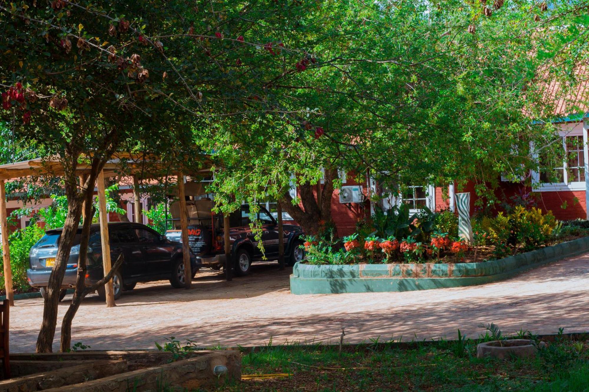 Mkomazi Hotels And Camps Hegoma Buitenkant foto